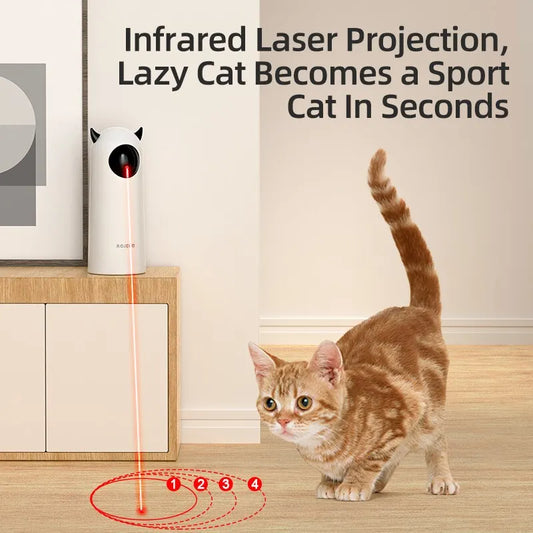 Automatic Interactive Pet Laser